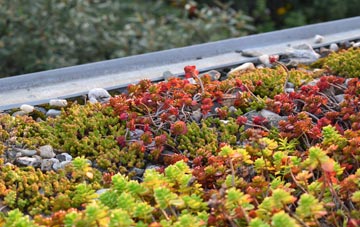 the cost of Harlow green roof installation