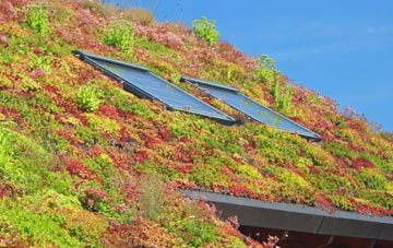 Harlow living roof systems