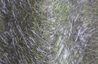 Harlow fibreglass roof work